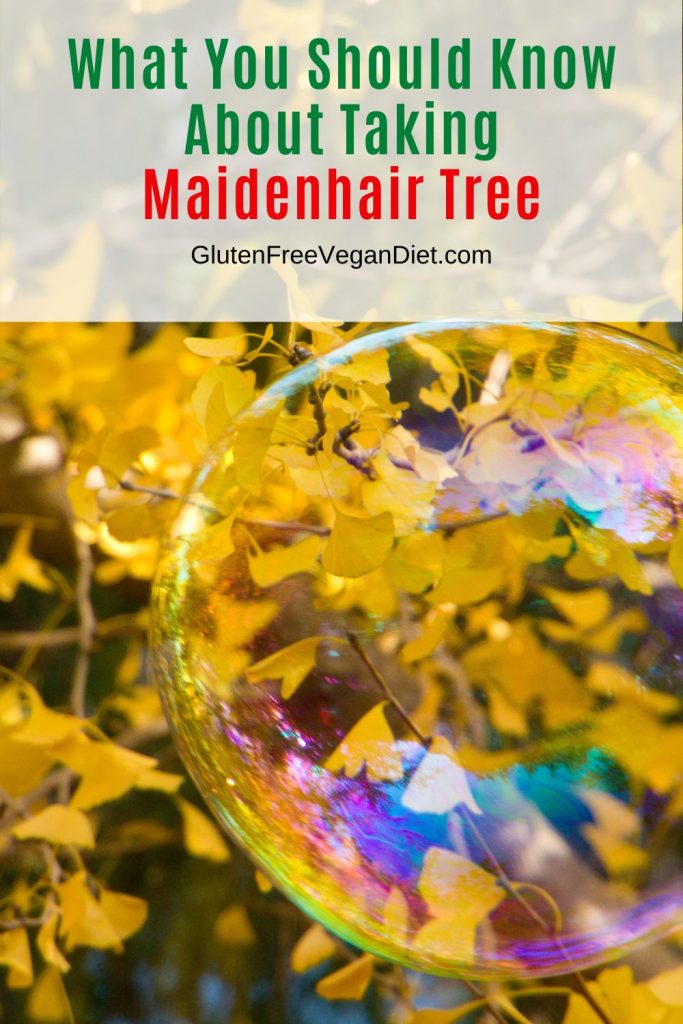 what to know about taking maidenhair tree